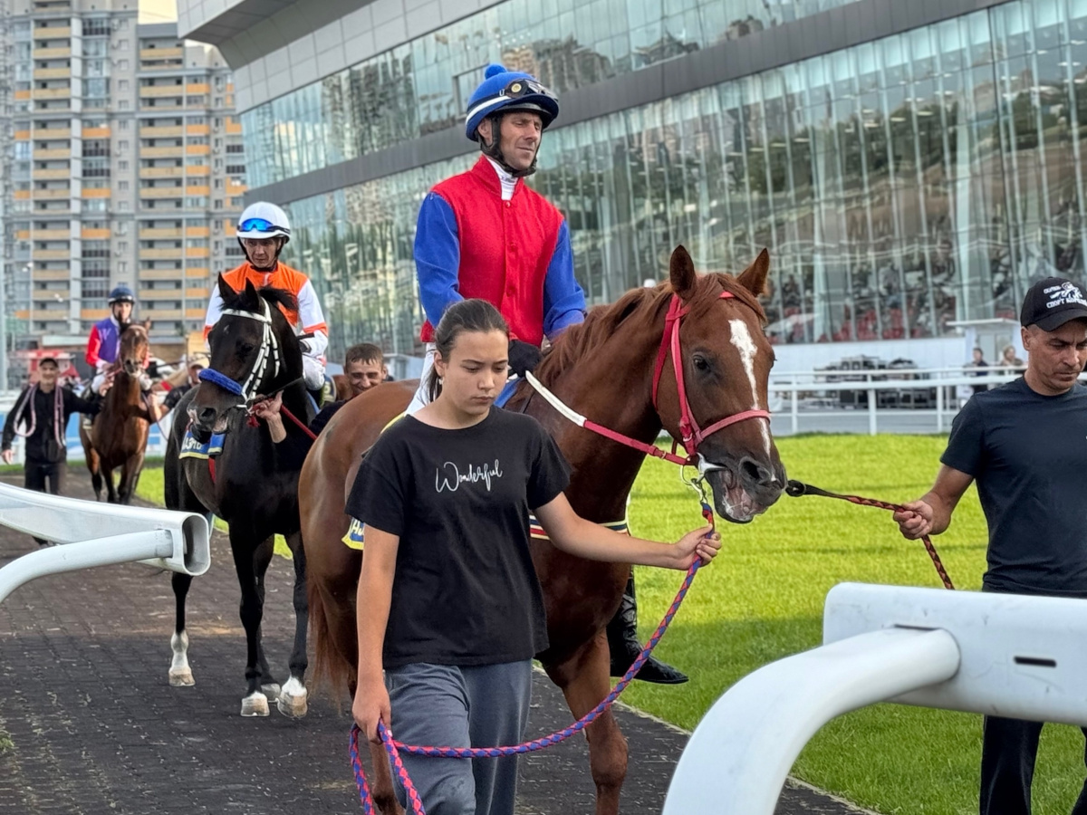 horse 1