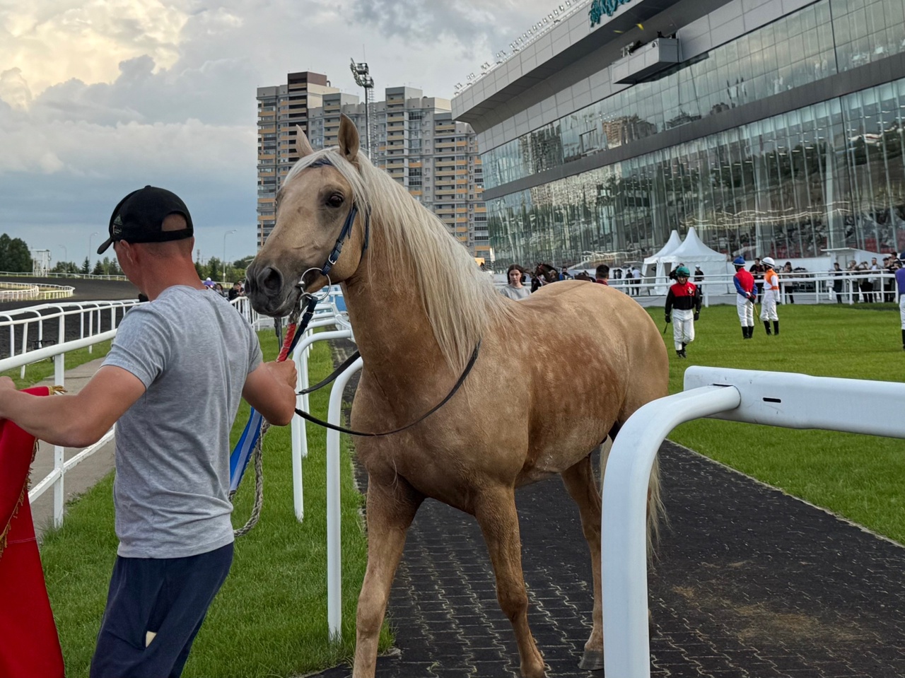 horse 5