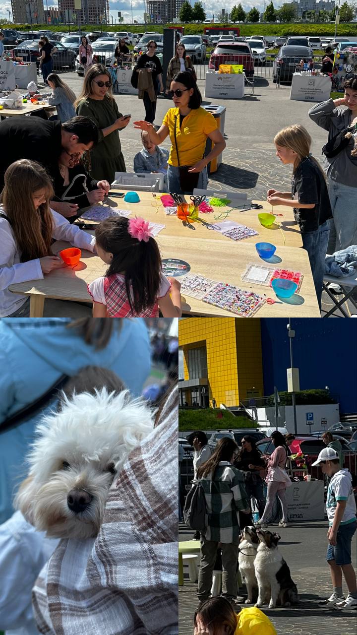 dog fest 4